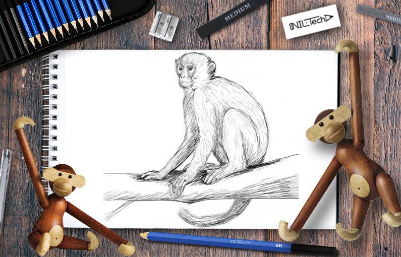 50+ Easy Monkey Drawing Ideas
